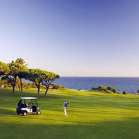 Apartment Casa Dos Teixeiras *