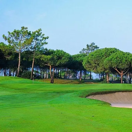 Casa Dos Teixeiras Daire